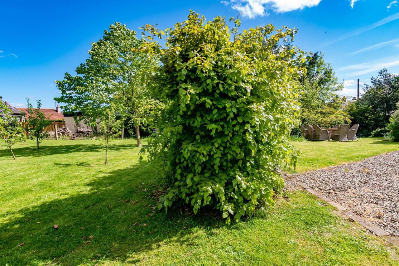 Blairgowrie and Rattray Rosebank House Blairgowrie - Sleeps 12, Games Rooms, Ev Point, Pets Welcome المظهر الخارجي الصورة